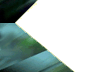granite floor tiles, granite slabs exporter