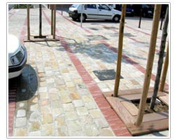 Desert Yellow Sandstone