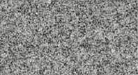 Cira Grey