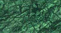 Dark Forest