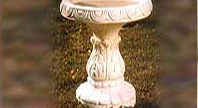 Pot