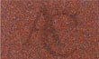 Jhansi Red