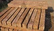 All Side Hand Cut Palliseds