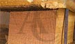 Gangsaw Slabs Teakwood in process